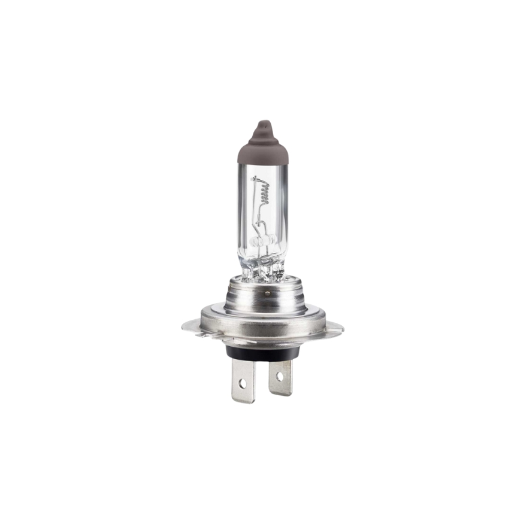 GLOBE/BULB H7